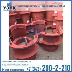 Сальники нажимные серия 5.900-3 в Челябинске