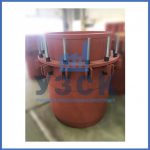 Купить сальниковые компенсаторы Ду 1000, Ду 700, Ду 800, Ду 600, Ду 500, Ру 25 в Челябинске